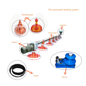 2018 Neue Produkte Huhn Fütterungssystem automatische Geflügelschnecke Feeder